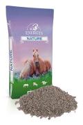 Krmivo pro koně ENERGYS Nature Cukrovarsk&eacute; ř&iacute;zky 20kg