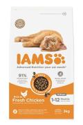 Iams Cat Kitten Chicken 3kg