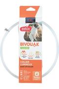 Obojek LED transparent BIVOUAK 30-60cm USB modr&aacute; Zolux