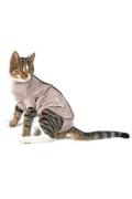 Obleček Body Suit Step'n Go Cats S b&eacute;žov&yacute; BUSTER
