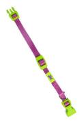Obojek nylon CLUB C 32cmx10mm světle fialov&yacute; FP 1ks