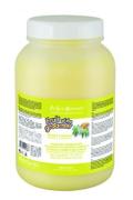 San Bernard Maska Zenzero-Sambuco 1000ml