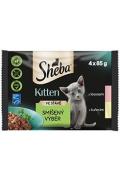 Sheba kapsa Kitten mix v&yacute;běr ve &scaron;ť&aacute;vě 4x85g