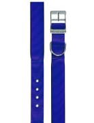 Obojek nylon DAYTONA C 35cmx15mm modr&yacute; FP 1ks