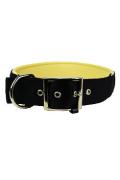 Obojek nylon DAYTONA C 63cmx40mm čern&yacute; FP 1ks