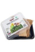 Apetit ptač&iacute; tr&aacute;va, pěstebn&iacute; miska, kokos.rohož 30g