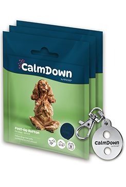 CalmDown Dog Tag Kit kovov&yacute; př&iacute;věsek+3knofl&iacute;ky KRUUSE